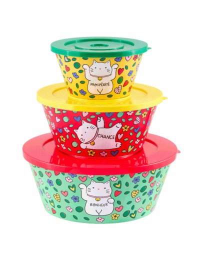 SALADIERS  X3 EMPILABLES