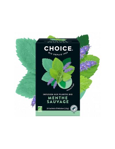 Infusion menthe sauvage 40g