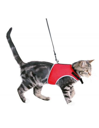 Harnais confort + laisse pour chat - 24/42cm