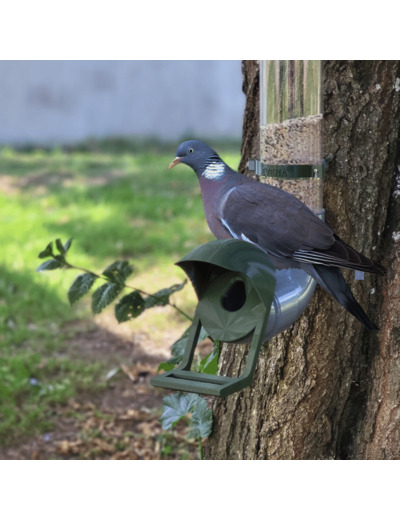 Mangeoire pour Pigeon