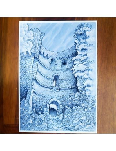 Carte Postale - Le Donjon / Château Renault - Guillaume Albin