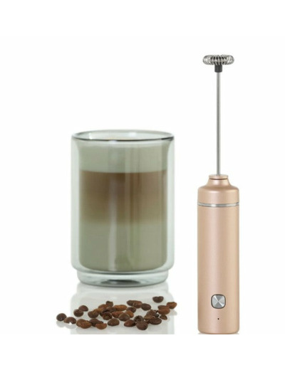 MOUSSEUR A LAIT ADHOC