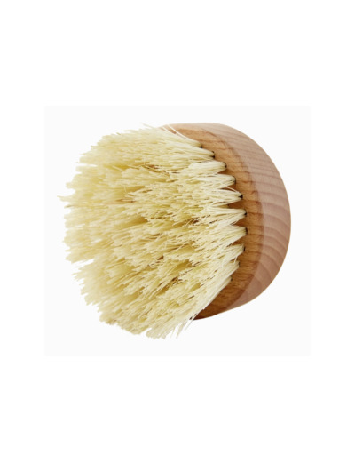 Brosse de massage à sec
