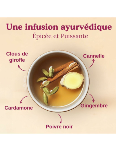 Tisane ayurveda Classic 17x2.2g Yogi Tea