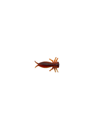 3 morbak rouille 5cm delalande