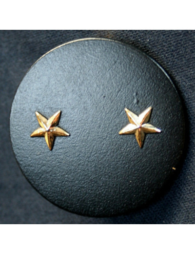 Insigne béret Général Brigade 2 étoiles Armée française