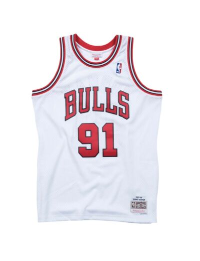 Dennis Rodman Bulls 91