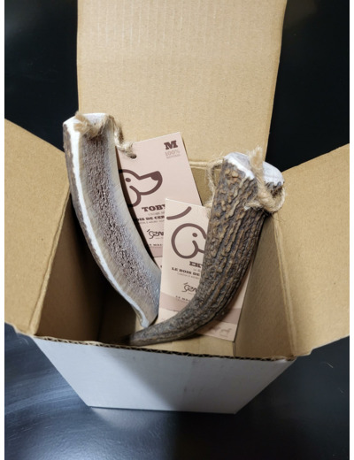 BOX de mastication "Où sont les cerfs" pour chien