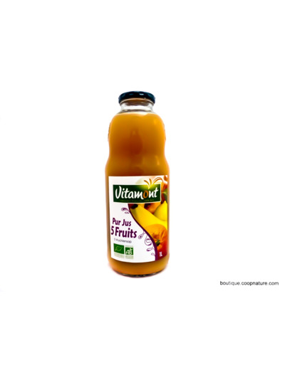 Jus de 5 fruits Bio 1L