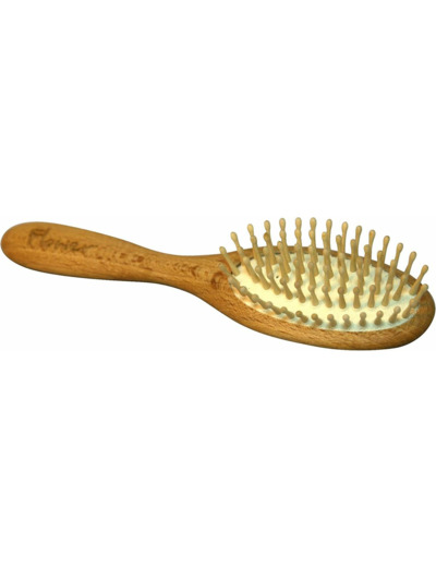 BROSSE PETITE PICOT