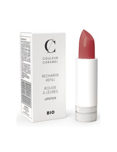 Recharge Rouge à lèvre satiné n°234 bois de rose 3.5g