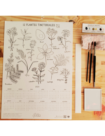 Calendrier 2026 - Les plantes tinctoriales