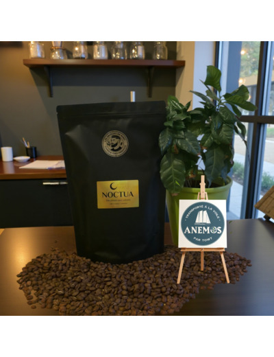 Noctua - Décaféiné sans solvant