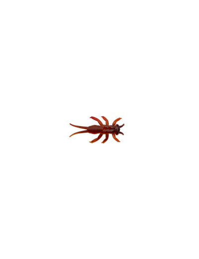 3 perla rouille 3cm delalande