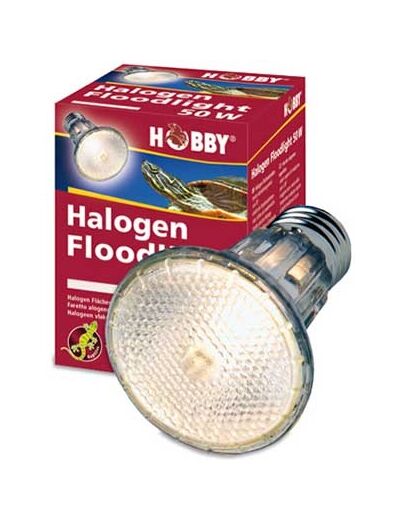 Spot halogène éclairage large Halogen Floodlight - 2 ≠W