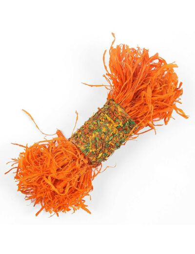 Jouet Shreddy Roller Carrot orange pour rongeur