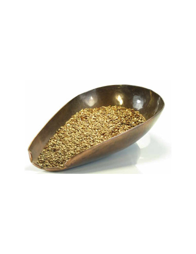 Graine de lin Bio triée 100gr