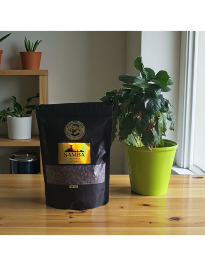 Samba - Origine Brésil