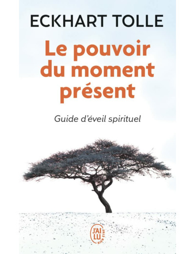 LE POUVOIR DU MOMENT PRESENT - GUIDE D'EVEIL SPIRITUEL