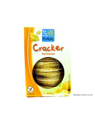 Crackers au Parmesan Sans Gluten Bio 100g