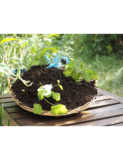 Lombricompost / Compost Local