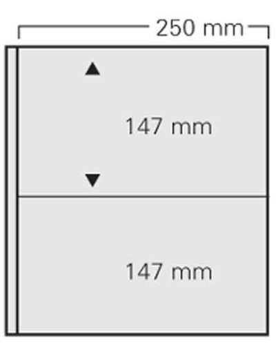 FEUILLES DE 2 BANDES FOND BLANC 722 (safe)