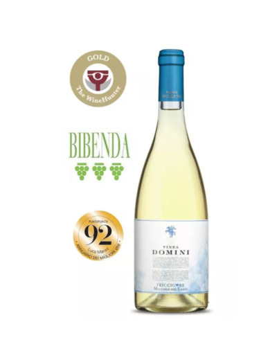 Vins Blanc Domini 750ml