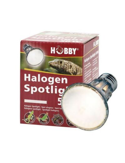 Spot halogène - 50W