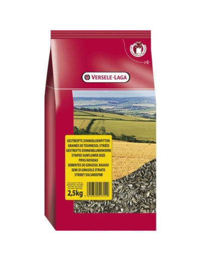 Tournesols striés - 2.5KG