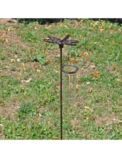 Pluviomètre jardin Libellule 71x8x10cm