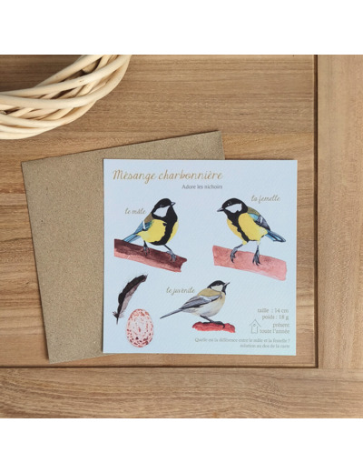 Carte Mésanges charbonnières