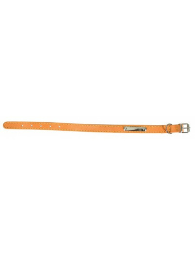 Collier cuir beige piqué simple pour chien