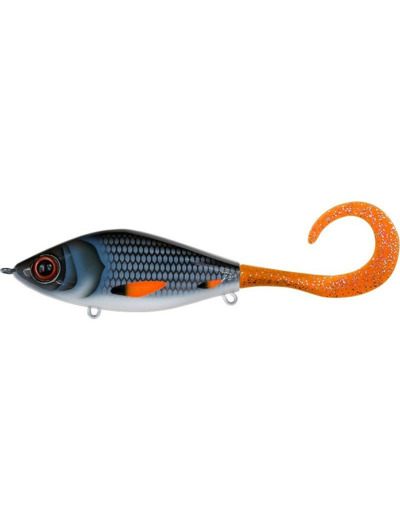 guppie 13.5cm M014 CWC