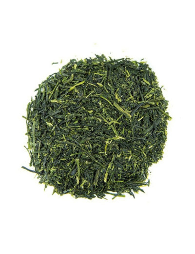 Sencha REN