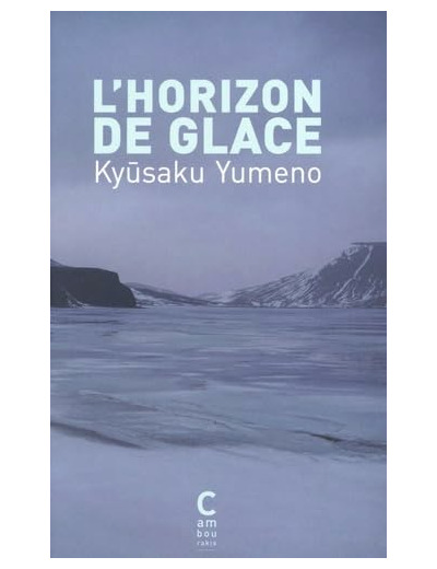 L'HORIZON DE GLACE