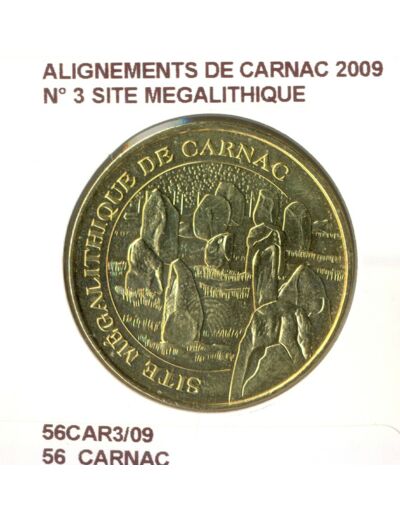 56 CARNAC ALIGNEMENTS DE CARNAC N3 SITE MEGALITHIQUE 2009 SUP-