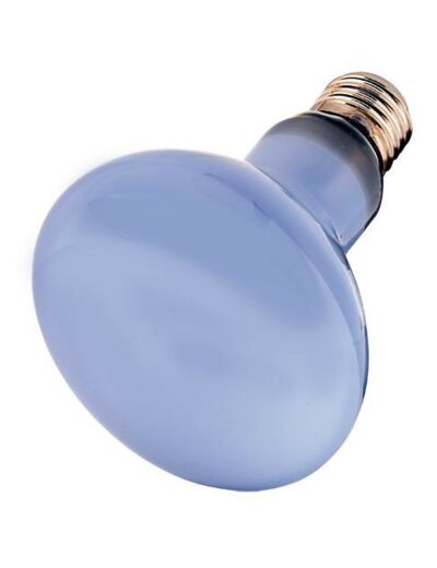 Lampe Hobby "Neodymium Daylight Eco" 42W-60W