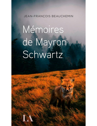 MEMOIRES DE MAYRON SCHWARTZ