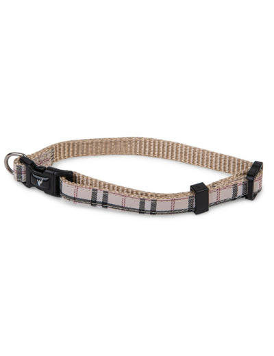 Collier en nylon écossais pour chien - 13-20cm x 10mm