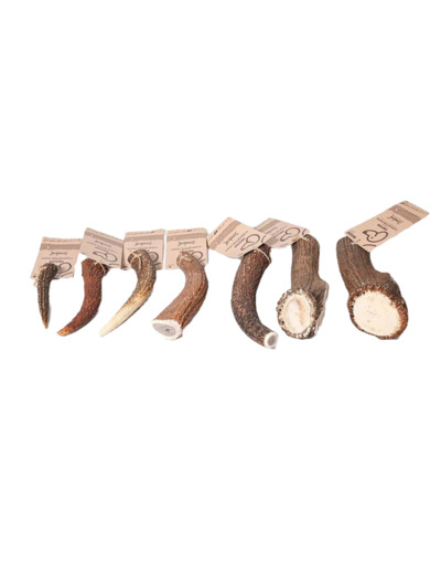 Bois de cerf entier pour chiens