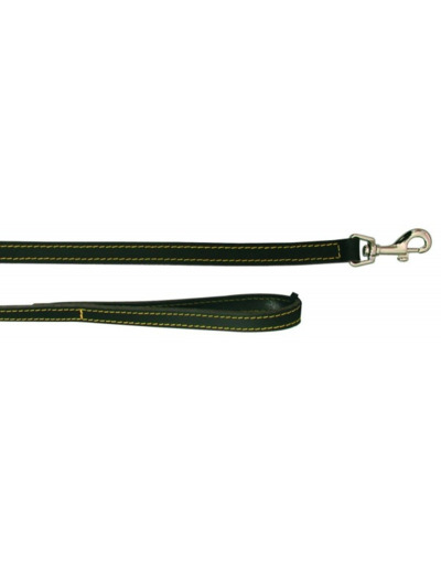 Laisse en cuir noir pour chien