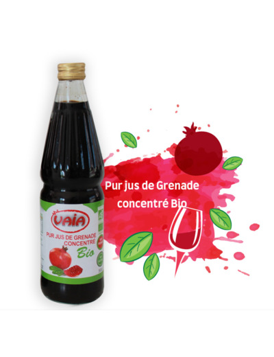 Pur concentré de grenade fermenté BIO 50cl