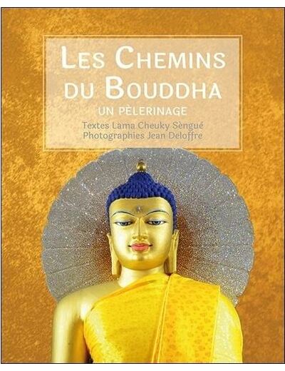 Les chemins du Bouddha - Un pèlerinage -
