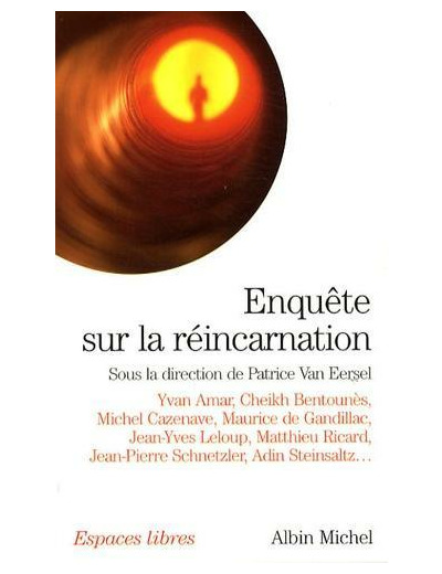 Enquête sur la réincarnation