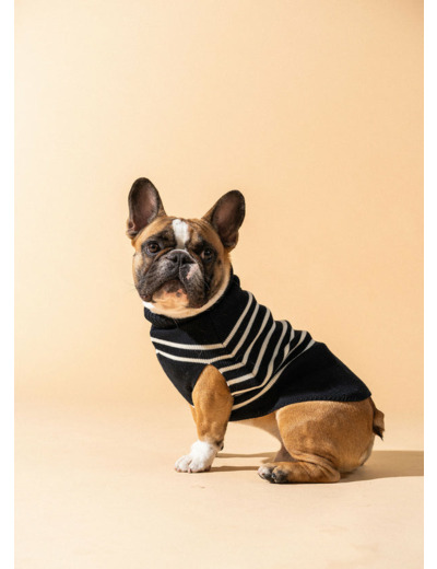 Le Toutoupull SAINT JAMES  pull pour chien