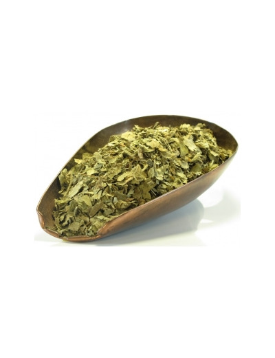 Alchémille vulgaire plante BIO 100g