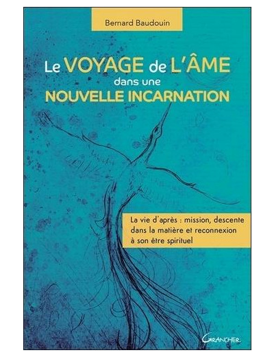 Le voyage de l'âme dans une nouvelle incarnation - La vie d'après : mission, descente dans la matière et reconnexion à son être spirituel