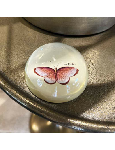 Presse papier papillion fumé verre 4x8x8cm