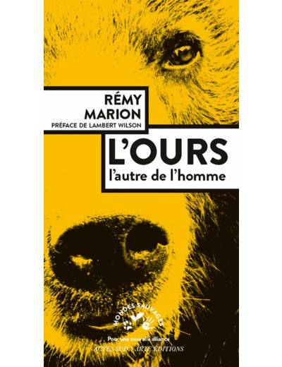 L'OURS - L'AUTRE DE L'HOMME - ILLUSTRATIONS, NOIR ET BLANC