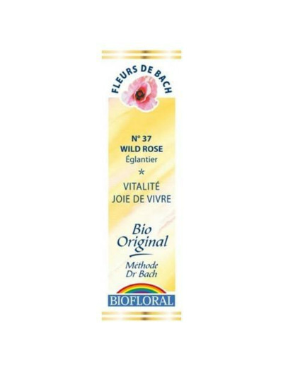 Fleur de Bach Wild Rose, Eglantier en compte-gouttes 20 ml